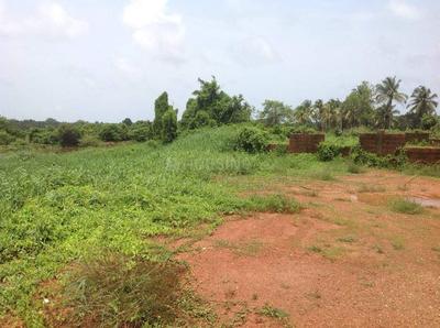 Gallery Cover Image of 3542 Sq.ft Residential Plot for buy in Salcete for 8500000