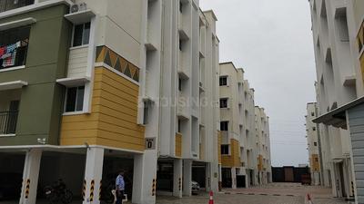 3 BHK Apartment