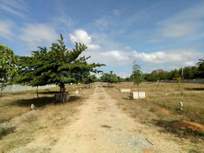 Residential Plot