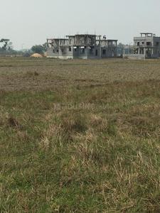Residential Plot