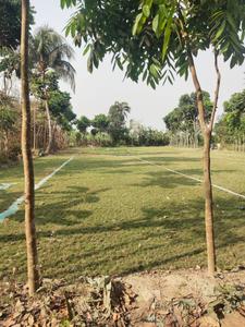 Residential Plot