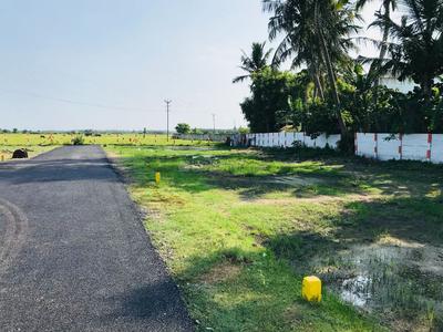 Residential Plot