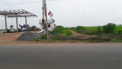 18288 Sq.ft Residential Plot for Sale in Peddapuram, Kakinada