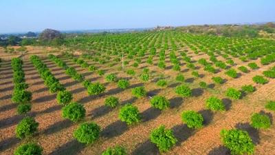 Gallery Cover Image of Sq.ft Residential Plot for buy in Shadnagar for 1500000