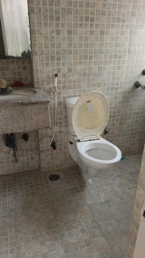 Paras Tierea - Image 16