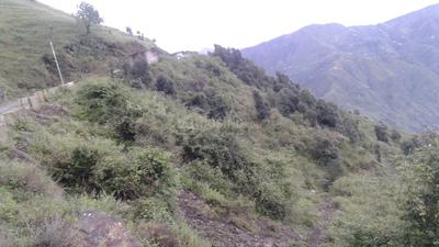 Residential Plot