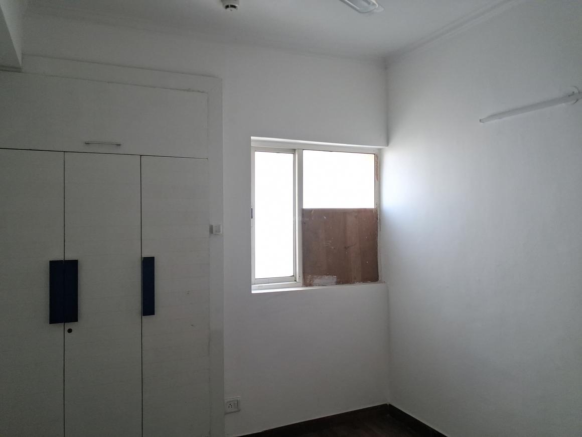 Paras Tierea - Image 11