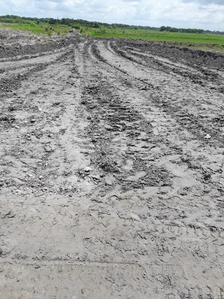 Gallery Cover Image of Sq.ft Residential Plot for buy in Baruipur for 1600000