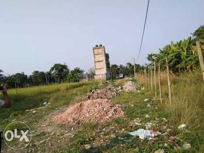 Residential Plot
