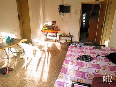 1 BHK Apartment
