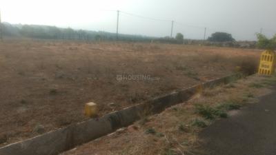 Residential Plot