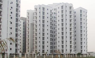 Gallery Cover Image of 1268 Sq.ft 2 BHK Apartment for rent in Sector 89 for 8000