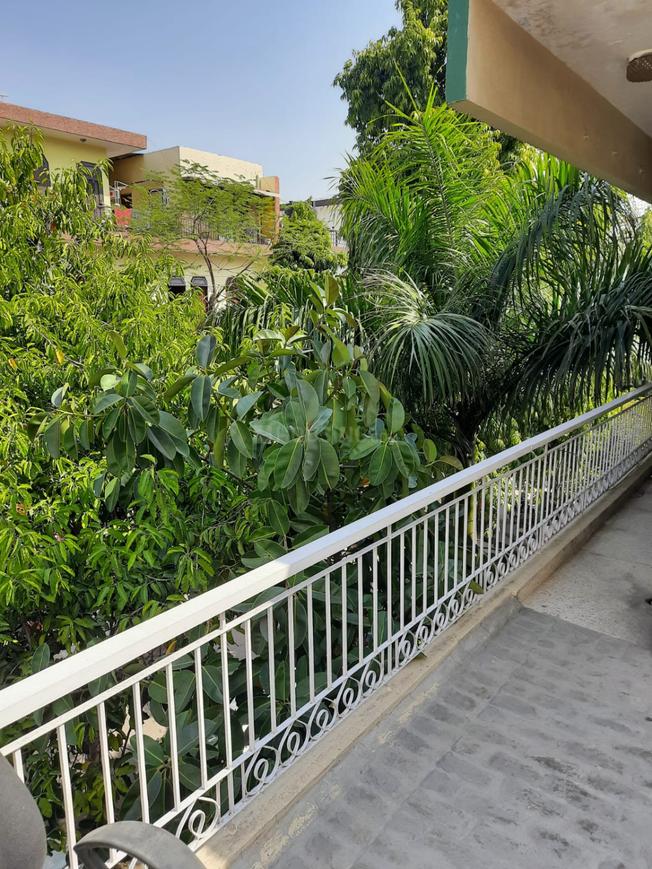 BHK Flats for Rent in Green Park Extension, New Delhi 6+ BHK