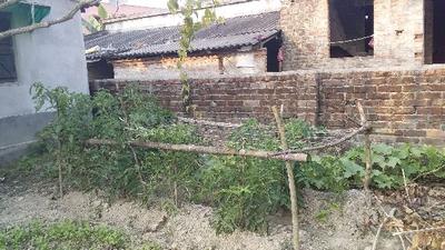 Gallery Cover Image of Sq.ft Residential Plot for buy in Khodar Bazar Uttarpara for 1800000