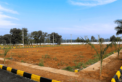 Residential Plot