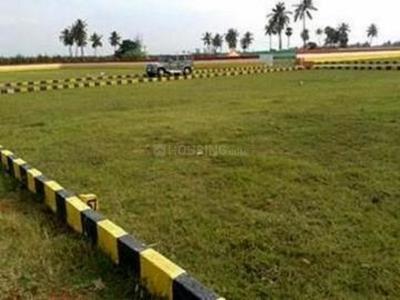 Residential Plot