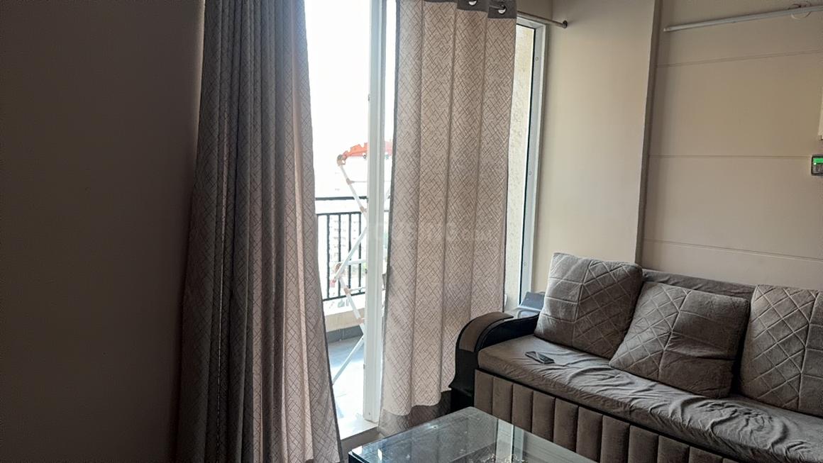 Exotica Dreamville - Image 7