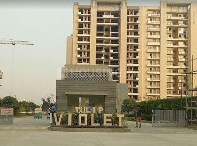 3 BHK Apartment