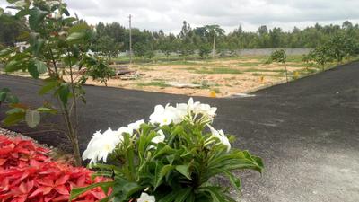 1500 Sq.ft Residential Plot for Sale in Dibbur, Tumkur