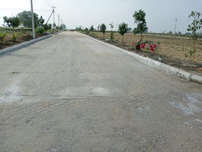 Residential Plot