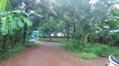 Gallery Cover Image of Sq.ft Residential Plot for buy in Chettupuzha for 60000000
