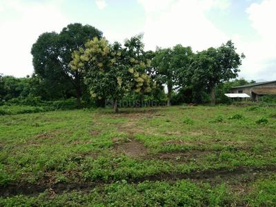 Gallery Cover Image of Sq.ft Residential Plot for buy in Vasai West for 2200000