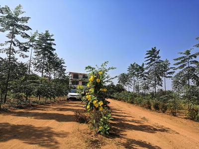 Residential Plot