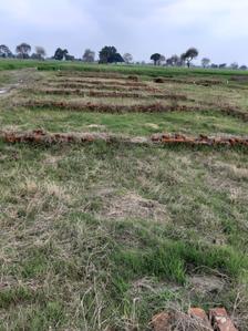 Residential Plot