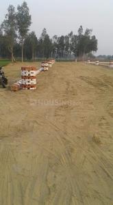 Gallery Cover Image of Sq.ft Residential Plot for buy in Gomti Nagar for 499000