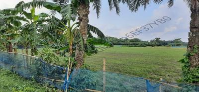 47911 Sq.ft Residential Plot for Sale in Bishnupur, Berhampore