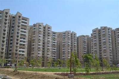 3 BHK Apartment
