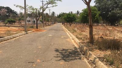 Residential Plot