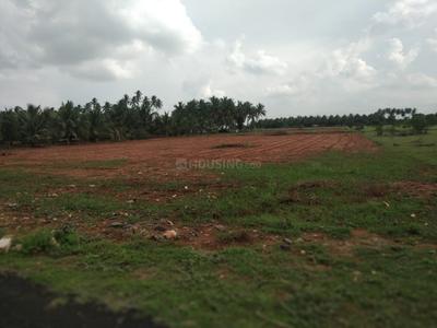 Gallery Cover Image of Sq.ft Residential Plot for buy in Nehru Nagar West for 97500000