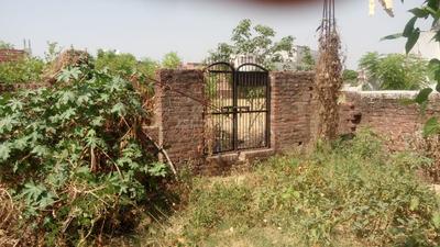 Gallery Cover Image of Sq.ft Residential Plot for buy in Jhusi for 8500000