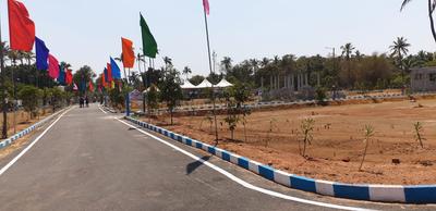 Residential Plot