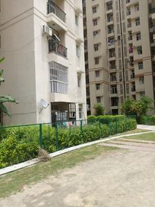 Gallery Cover Image of 1315 Sq.ft 3 BHK Apartment for rent in Amrapali Princely Estate, Sector 76 for 20000
