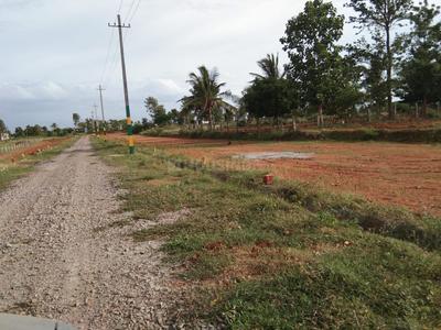Residential Plot