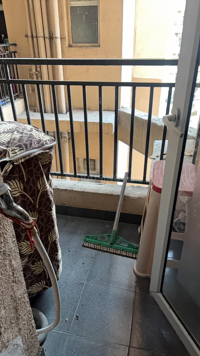 Exotica Dreamville - Image 15