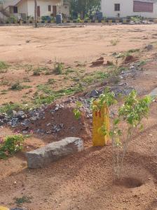 Gallery Cover Image of Sq.ft Residential Plot for buy in Mansanpally for 2375000