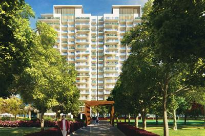 3 BHK Apartment