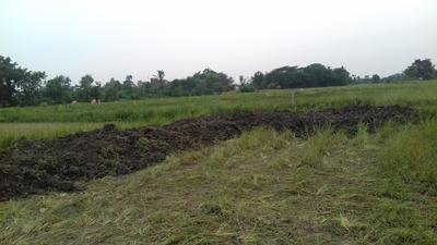 Gallery Cover Image of Sq.ft Residential Plot for buy in Joka for 140000