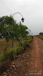 Residential Plot