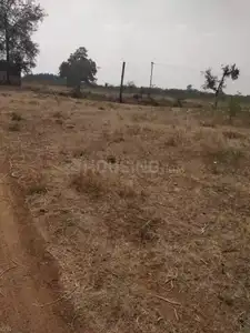 Gallery Cover Image of Sq.ft Residential Plot for buy in Thirunagar for 60000000