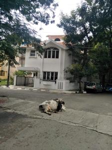 Gallery Cover Image of 2000 Sq.ft 3 BHK Independent House for buy in Koramangala for 35000000