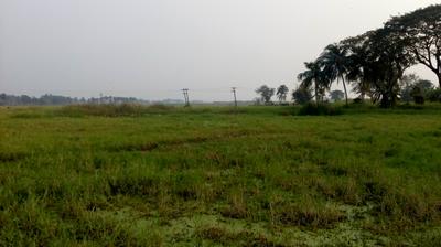 Residential Plot