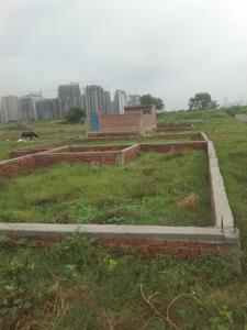 Residential Plot