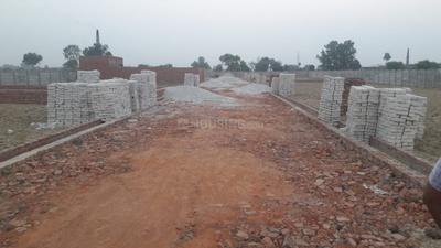 Gallery Cover Image of Sq.ft Residential Plot for buy in Naubasta for 700000