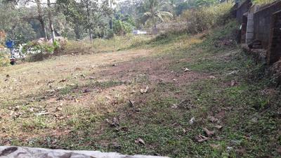 Residential Plot