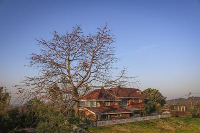 Gallery Cover Image of 6200 Sq.ft 3 BHK Villa for buy in Malsi for 130000000
