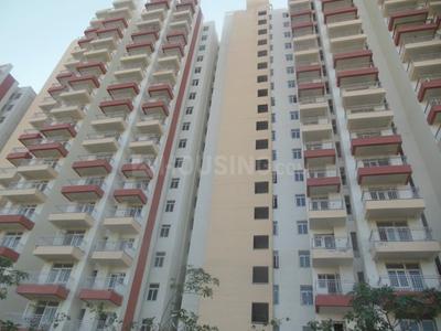 3 BHK Apartment